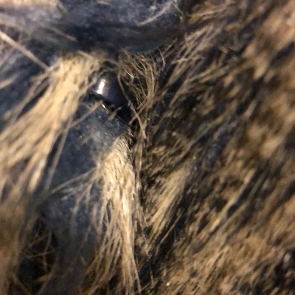 NWOT-Romeo & Juliet Couture faux fur vest - Picture 7 of 8